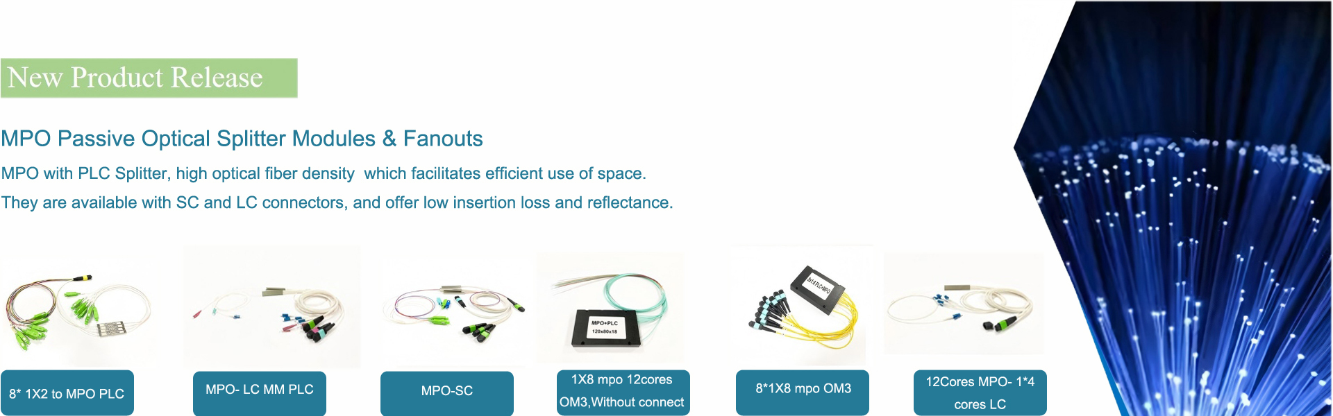 Qualität LWL Termination Box Fabrik