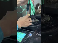 12 Fasern OM3 10Gig MTP MPO-Kabel, Stammkabel MPO - MPO 12 FO OM3 15 Mts