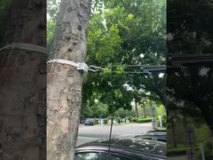 FTTH Glasfaser-Hängeklemme für ADSS-Kabel 8-12mm