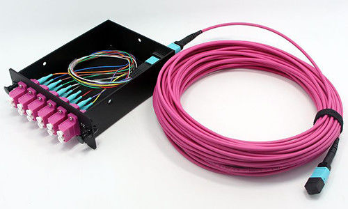 kaufen Glasfaser MPO MTP Kabel 8 Glasfaser OM4 LSZH Jacket für Netzwerkverbindungen Datenzentrum Online-Herstellung