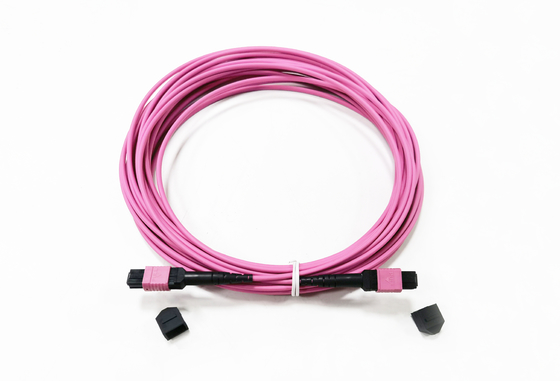kaufen 12 Buchsen-des Verbindungskabel-OM4 50/125um purpurrote Polarität A der Faser-MPO Auslese-des Verlust-0.35dB Online-Herstellung